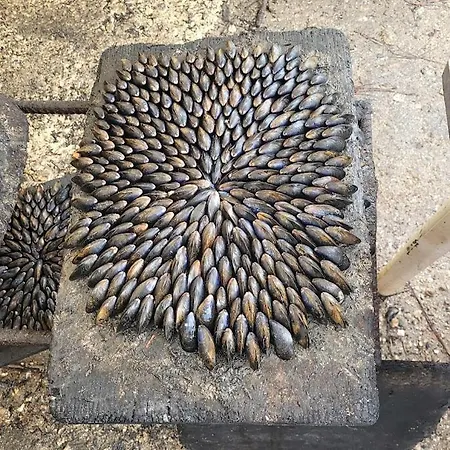 Notre Oleronaise Saint-Denis-dʼOléron